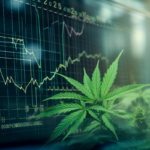 cannabis market update