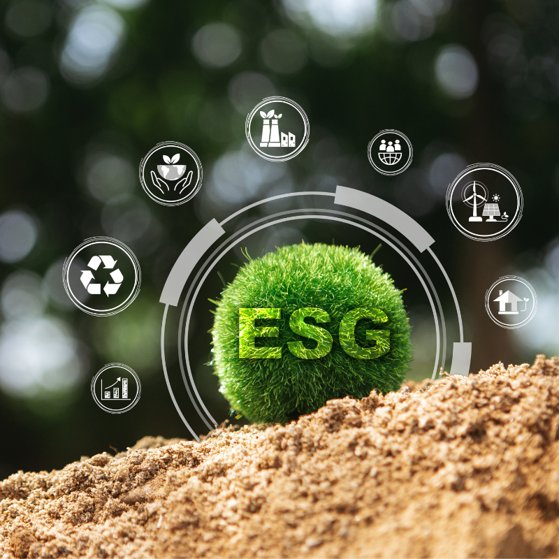 esg considerations